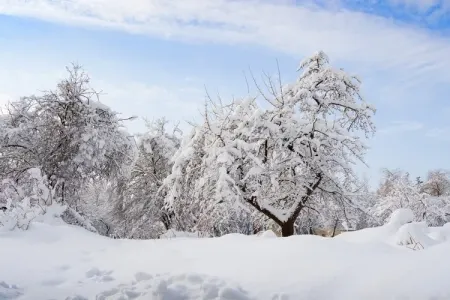 5 dərəcə şaxta, yağış, külək - XƏBƏRDARLIQ
