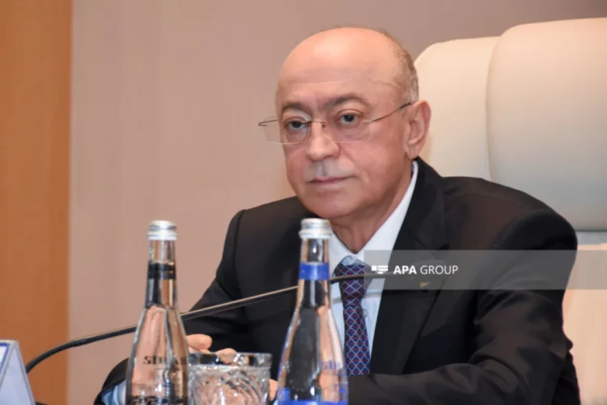 Nazir: "Qəza ilə bağlı indi heç nə deyə bilmərik"