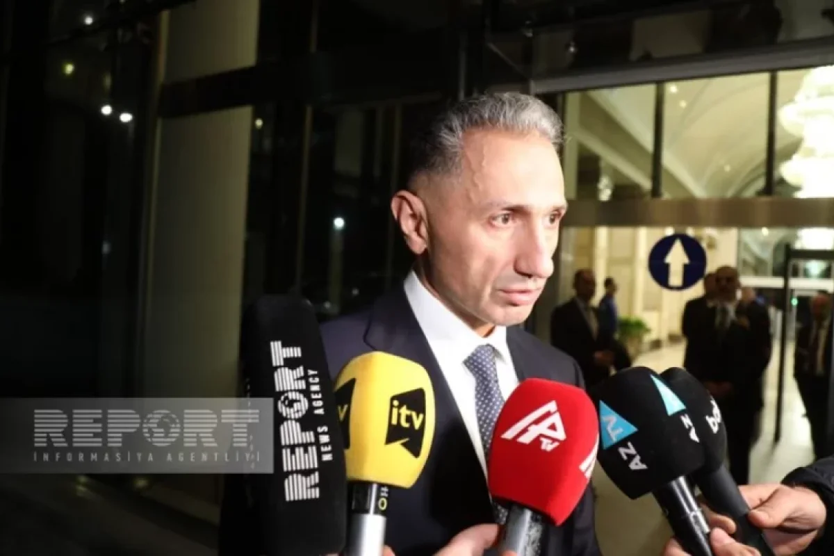 Rəşad Nəbiyev təyyarənin qara qutusundan danışdı