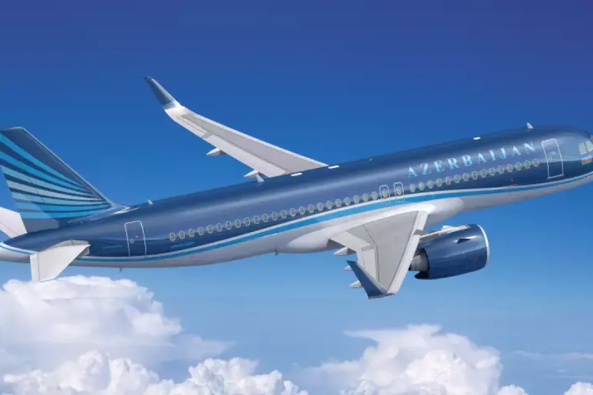 Təyyarə qəzasında ana və övladı da ölüb