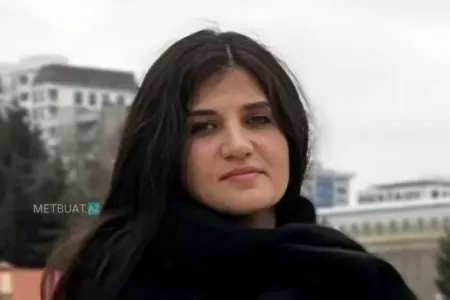 "Təəccübləndim, Hökümə elə yazan deyildi..."