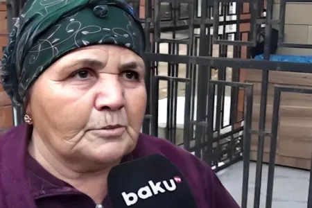 "Oğlum və yoldaşım qəzaya düşən təyyarədə idi" - Hadisə vaxtı nələr oldu?