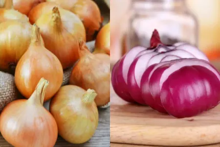 Soğan bu qidalardan uzaq saxlanılsa... - 6 ay təzə qalacaq