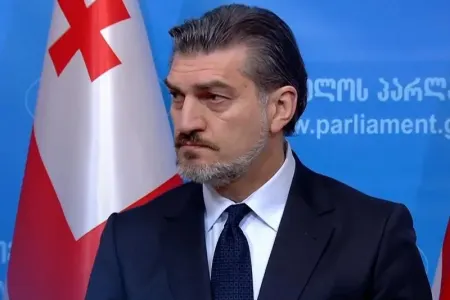 Gürcüstanın prezidenti seçilən Kavelaşvili vəzifəsinin icrasına başlayıb