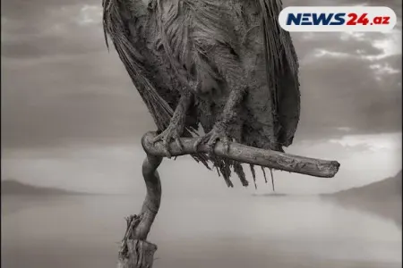 Bu gölə toxunanlar daşa dönür - Foto