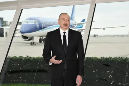 Prezident təyyarə qəzasının səbəbləri ilə bağlı bir sıra faktları - AÇIQLADI