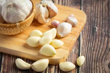 Sarımsağı soyuducuda saxlamaq olarmı?