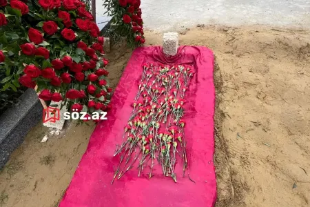 Təyyarə qəzasında həlak olan Rəşad Əhmədovun məzarı - FOTOLAR