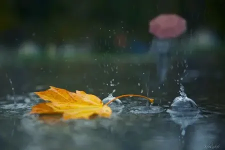 İlin ilk günü bu zonaya yağış yağdı – - Faktiki hava