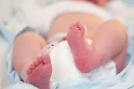 Naxçıvanda ilin ilk körpələri əkiz oldu