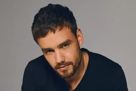 Liam Peynin ölümündə 5 nəfərin əli var