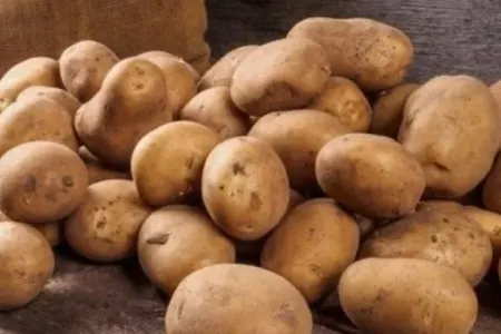 Kartof doğrudanmı qaraciyərimizi məhv edir?