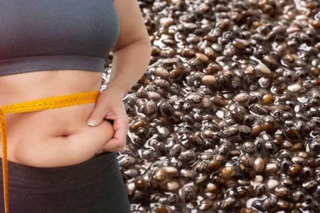 Hansı qidalar qarın yağını əridir?