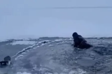 Körfəzinin buzundan yıxılan şəxs ölüb