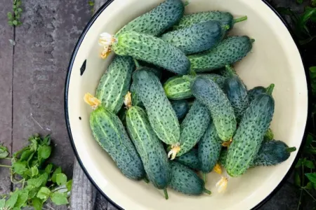 Xiyarın uzun müddət təzə qalması üçün - 9 üsul