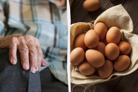 Yaşlı insanlar niyə yumurta yeməlidir? – - Əsas SİRR