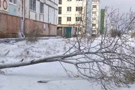 8 rayonda fövqəladə xəbərdarlıq elan edildi