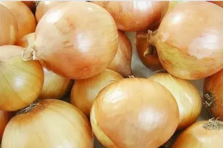 Soğan kəskin bahalaşdı - Video