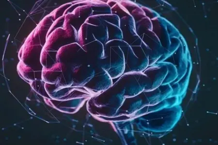 Kişi və qadın beyinləri fərqli imiş - Sübut olundu