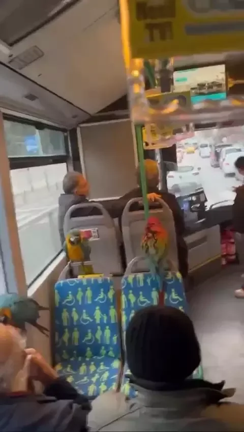 Avtobusa tutuquşuları ilə mindi - FOTO