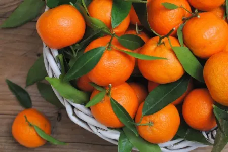 Xeyirli bildiyimiz naringinin ziyanı