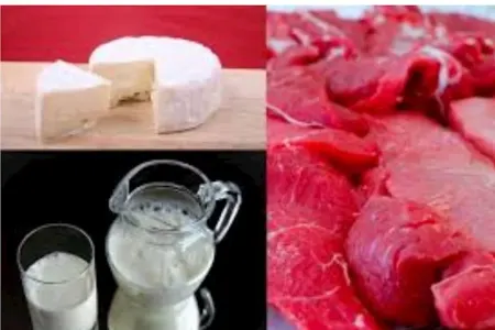 Ət və süd məhsulları marketlərdə düzgün qaydada saxlanılırmı?
