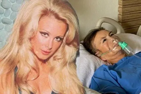 Məşhur aktrisa təcili yardım təyyarəsi ilə - İstanbula gətirildi