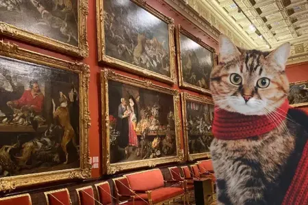 Ermitajın “növbətçi pişikləri”: Onların xüsusi vəzifələri var