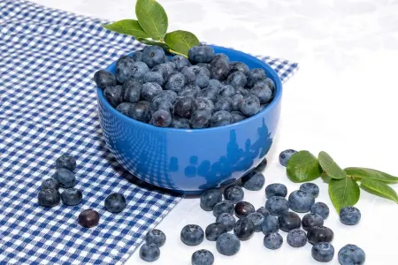 Qaragilə insanları hepatitə yoluxdurdu