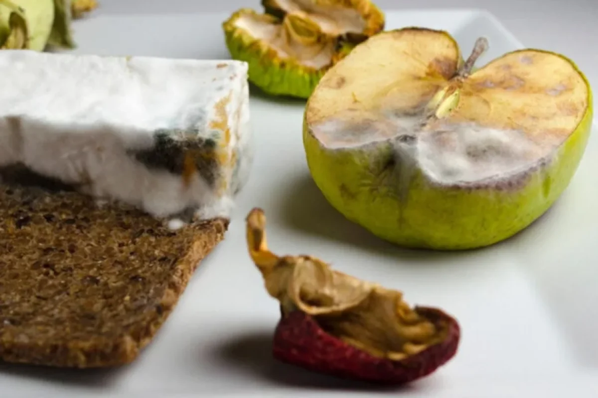 Kif basmış məhsulların hansı xəstəliyi yaratdığı açıqlandı - Foto