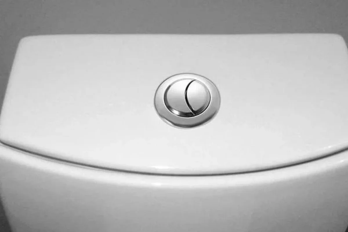 Çox məntiqli bir səbəbi var: Bir çox tualetdə niyə iki ayrı yuyucu düymə var?