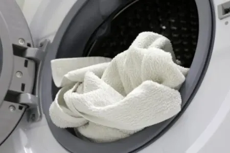 Paltaryuyan maşında yuyulmaması lazım olan - 4 əşya