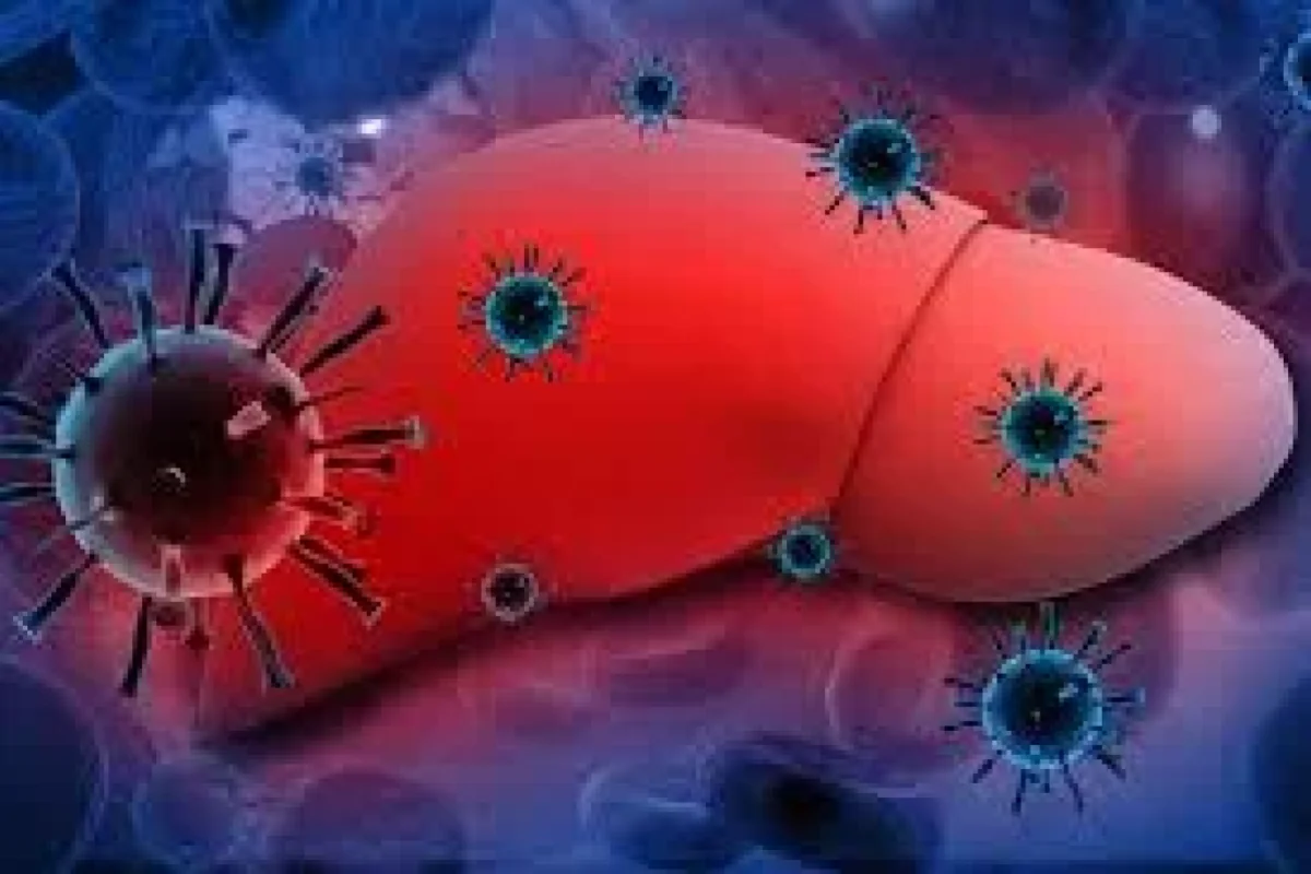 Dondurulmuş qaragilə yedikdən sonra azı 12 nəfər hepatit A-ya yoluxub: - Zərərçəkənlərin sayı arta bilər