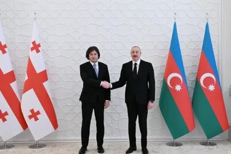 Mətbuata bəyanatlarla çıxış edirlər