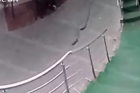 Bakıda gözəgörünməz varlıqlar KAMERAYA DÜŞDÜ - Görün nə edirlər + VİDEO