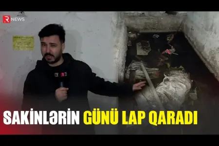 Sakinlərin günü LAP QARADIR - VİDEO