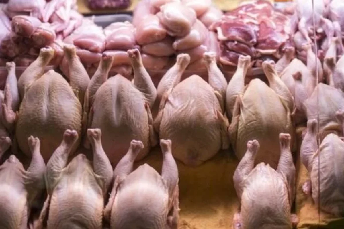 Toyuq əti ilə bağlı narazılıq: - "Keyfiyyət məsələsi ilə heç kim məşğul olmur"