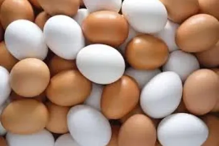 Yumurta qıtlığı yarandı