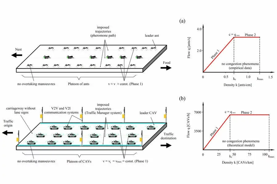 Tıxac problemi qarışqaların sayəsində ÇÖZÜLDÜ - Foto