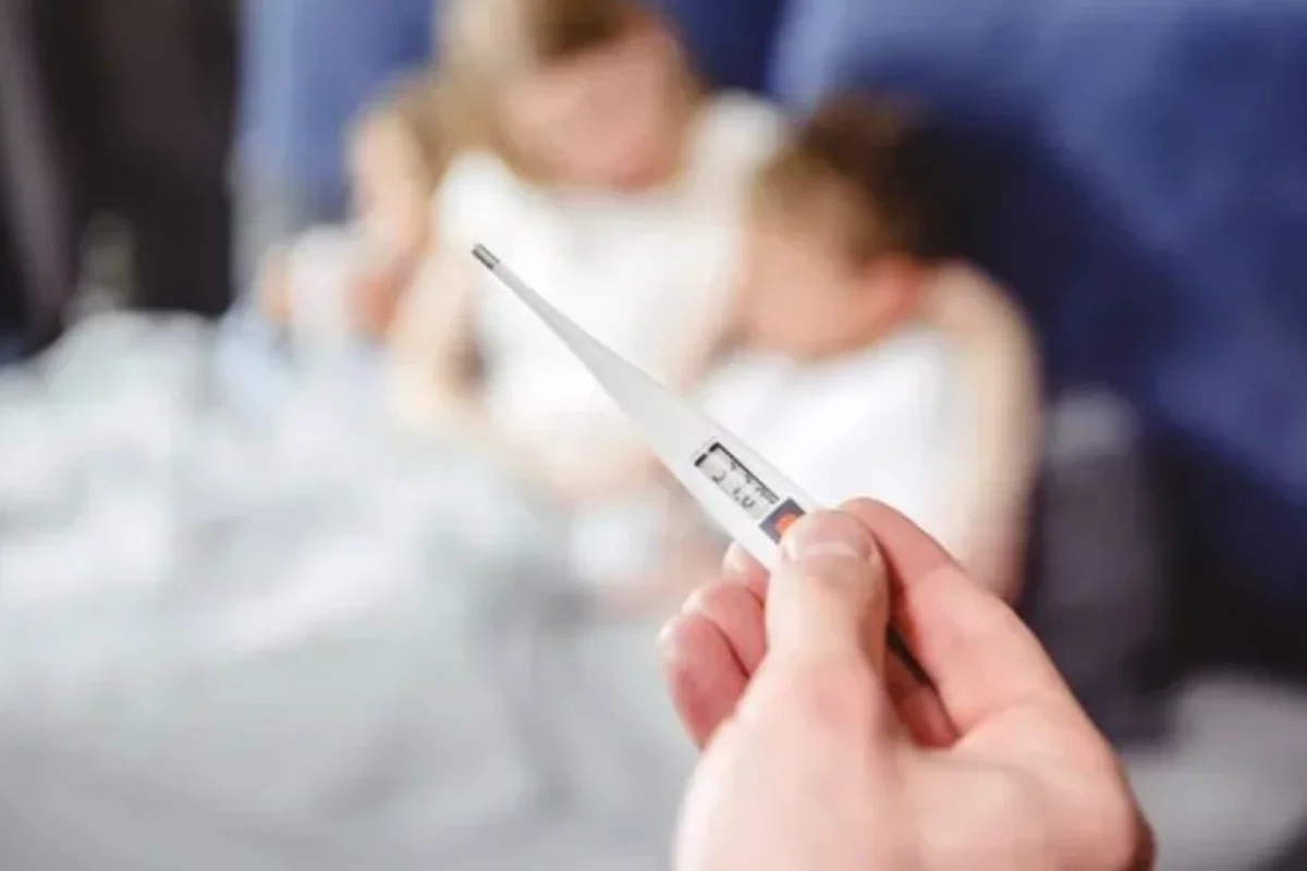 Gürcüstanda "donuz qripi"ndən ölənlər var