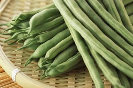 Lobyanın inanılmaz faydaları