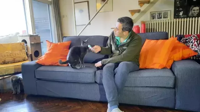 4 qulağı olan pişik hər kəsi - ŞOKA SALDI -VİDEO