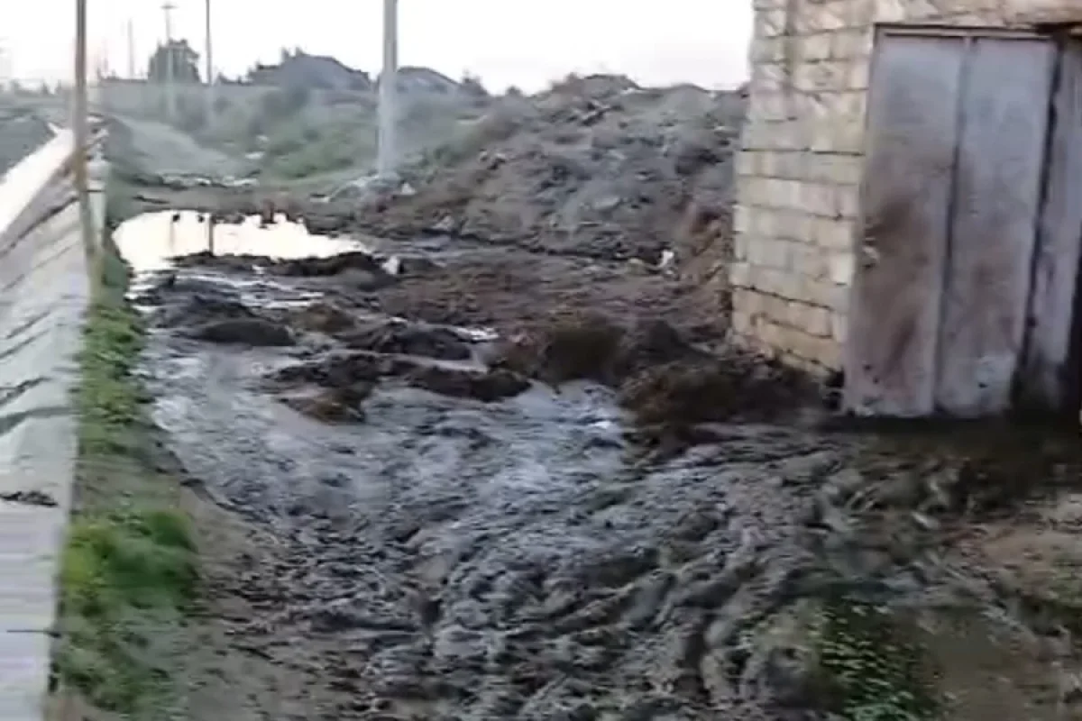 Türkanda antisanitariya: Çirkab kanala axıdılır