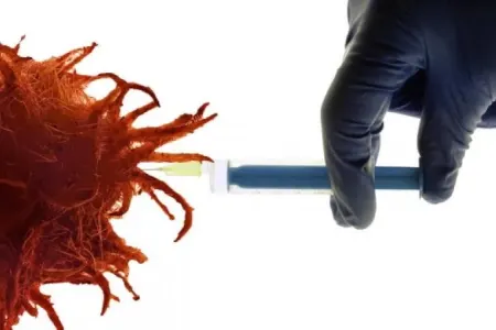 Xərçəng xəstəliyi kişilərdən qadınlara, yaşlılardan gənclərə... - ARAŞDIRMA