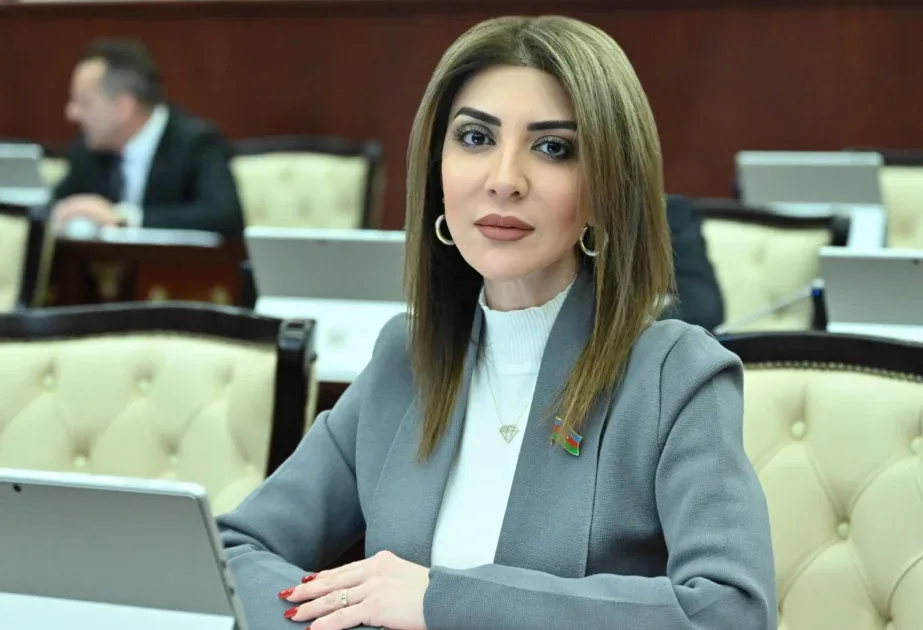 20 Yanvar faciəsi bəşəriyyətə qarşı törədilmiş...