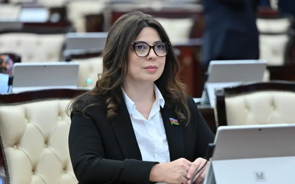 Bu deputata yeni vəzifə verildi - FOTO