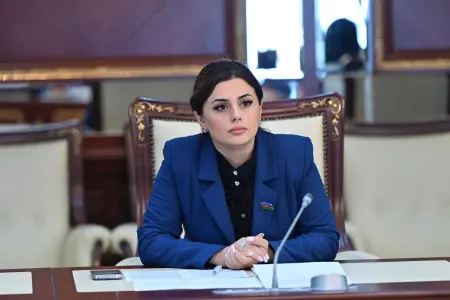 Deputat: "Bu təsirlər ölüm və xəstəliklərlə nəticələnir"