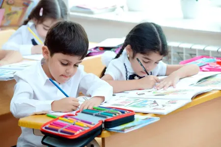 Tədris digər dillərdə aparılan siniflərdə “Azərbaycan tarixi” fənninin tədrisinə dair - AÇIQLAMA