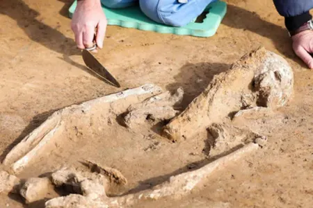 Azərnlbqycanda insan skeletləri tapılan məscidlə bağlı- - Rəsmi AÇIQLAMA