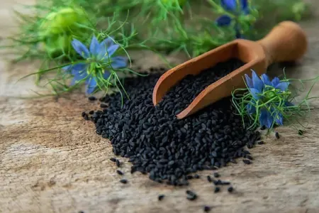 Qara zirənin sağlamlığa faydaları